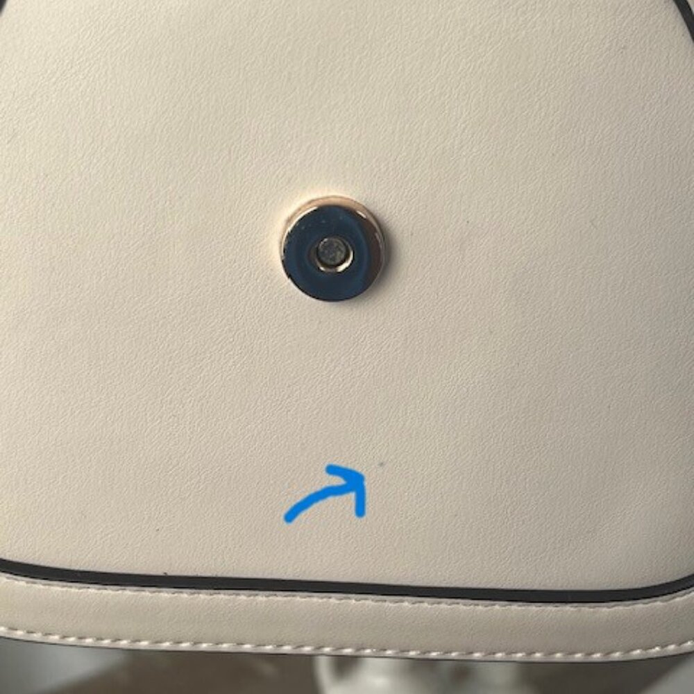 CXL Crossbody Satchel - bone NWT - Picture 9 of 9